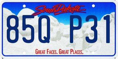 SD license plate 85QP31