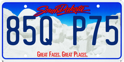 SD license plate 85QP75