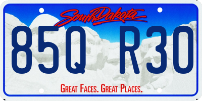 SD license plate 85QR30