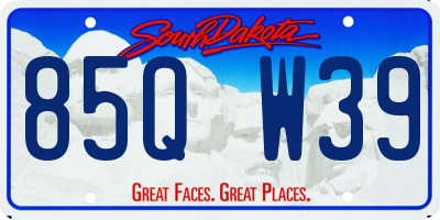 SD license plate 85QW39