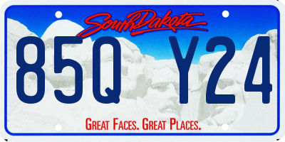 SD license plate 85QY24