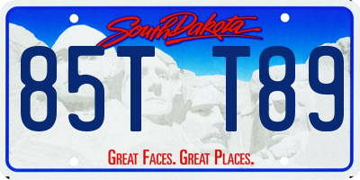 SD license plate 85TT89