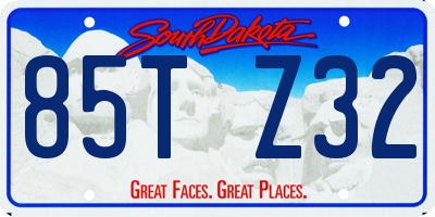 SD license plate 85TZ32