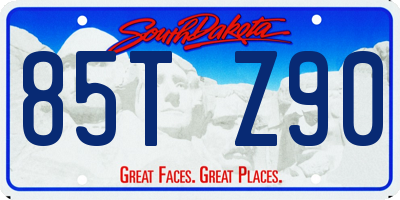 SD license plate 85TZ90