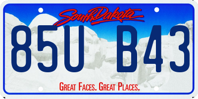 SD license plate 85UB43