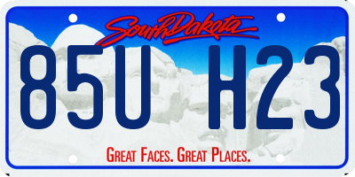 SD license plate 85UH23
