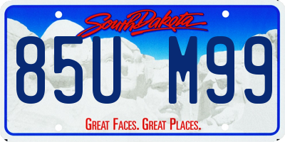 SD license plate 85UM99