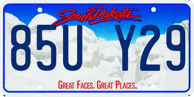 SD license plate 85UY29