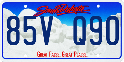 SD license plate 85VQ90