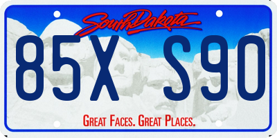 SD license plate 85XS90