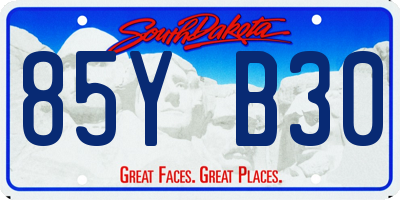 SD license plate 85YB30