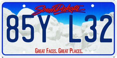 SD license plate 85YL32