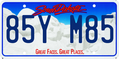 SD license plate 85YM85