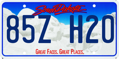 SD license plate 85ZH20