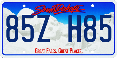 SD license plate 85ZH85