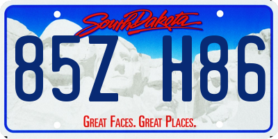 SD license plate 85ZH86