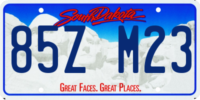 SD license plate 85ZM23