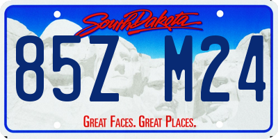 SD license plate 85ZM24