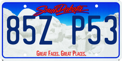 SD license plate 85ZP53