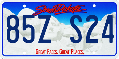 SD license plate 85ZS24