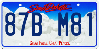 SD license plate 87BM81