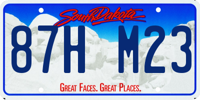SD license plate 87HM23
