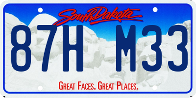 SD license plate 87HM33