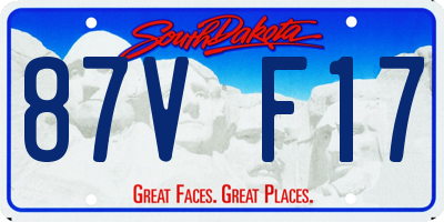 SD license plate 87VF17