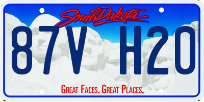 SD license plate 87VH20