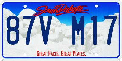 SD license plate 87VM17