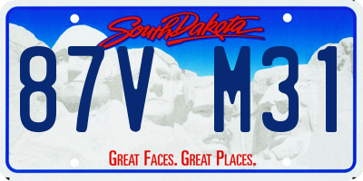 SD license plate 87VM31