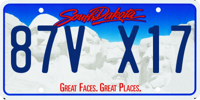 SD license plate 87VX17