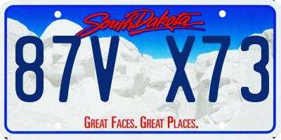 SD license plate 87VX73