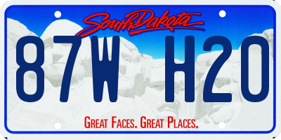SD license plate 87WH20