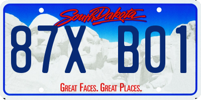 SD license plate 87XB01