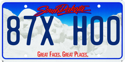 SD license plate 87XH00