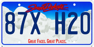 SD license plate 87XH20