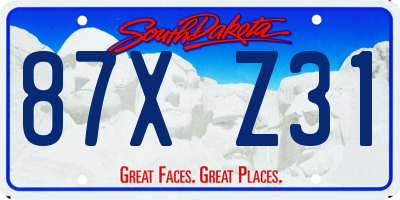 SD license plate 87XZ31