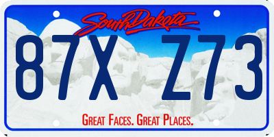 SD license plate 87XZ73