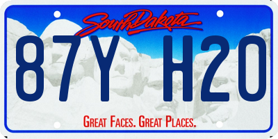 SD license plate 87YH20