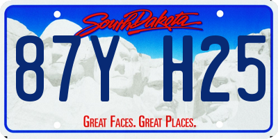 SD license plate 87YH25