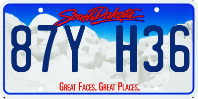 SD license plate 87YH36