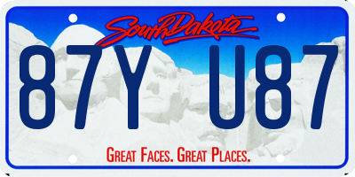 SD license plate 87YU87