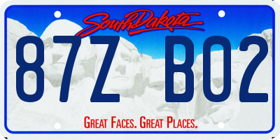 SD license plate 87ZB02