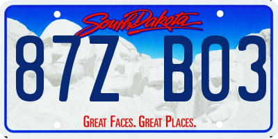 SD license plate 87ZB03