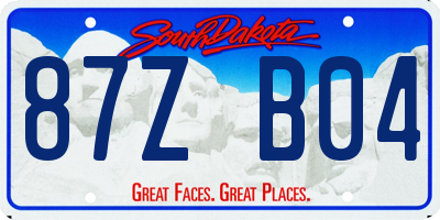 SD license plate 87ZB04