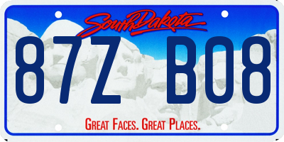 SD license plate 87ZB08