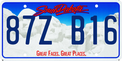 SD license plate 87ZB16