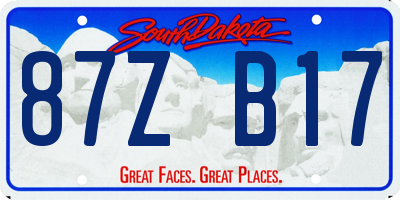 SD license plate 87ZB17