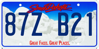 SD license plate 87ZB21